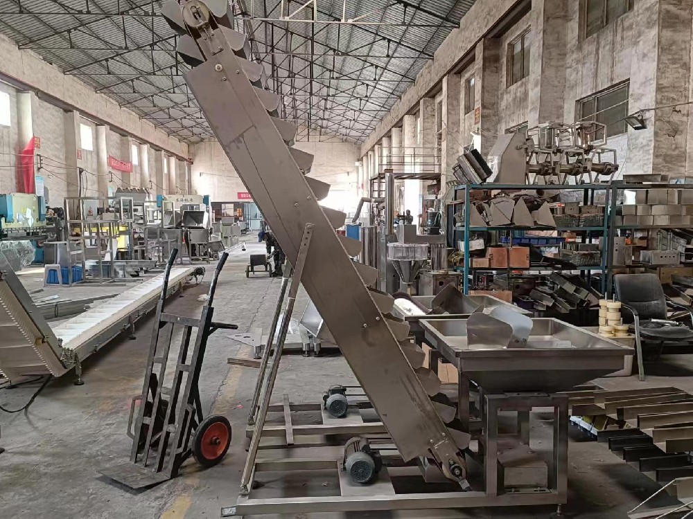 青島斜斗式上料機(jī)生產(chǎn)廠家-斗式提升機(jī)定制-免費設(shè)計